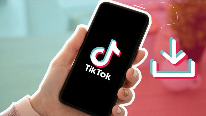 Cara Download Video TikTok Tanpa Aplikasi